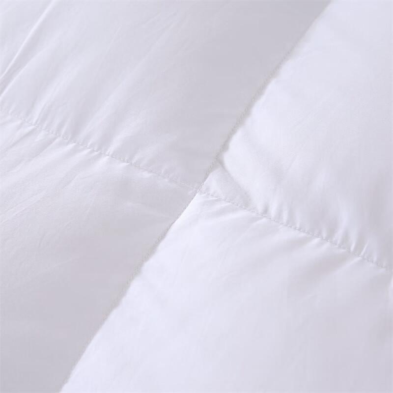 Baiweisi All-Season Velvet Feel Duvet Insert
