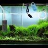 Mini Fish Tank Oxygen Pump Portable Aquarium Aerator Fish Tank Aerator USB Oxygenator  Fish Tank