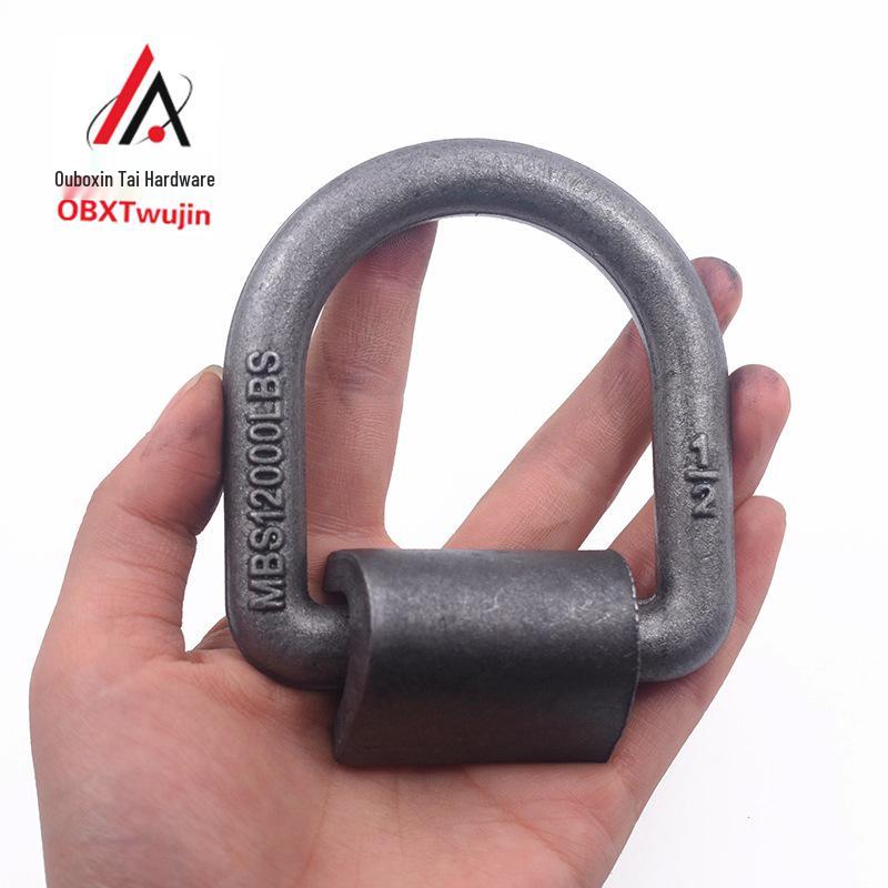 D-Ring Lifting and Welding Lug