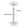 1 Peça Barra de Titânio para Mamilo com Argola Cristal CZ Banhada a Ouro com Escudo Pendurado Barra para Mulheres Piercing de Mamilo com Rosca Interna