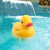 Cartoon Duck Floating Pool Dispenser Thermometer Kit Portable Pools Cleaning for Indoor Outdoor Garden Pools Cleaning