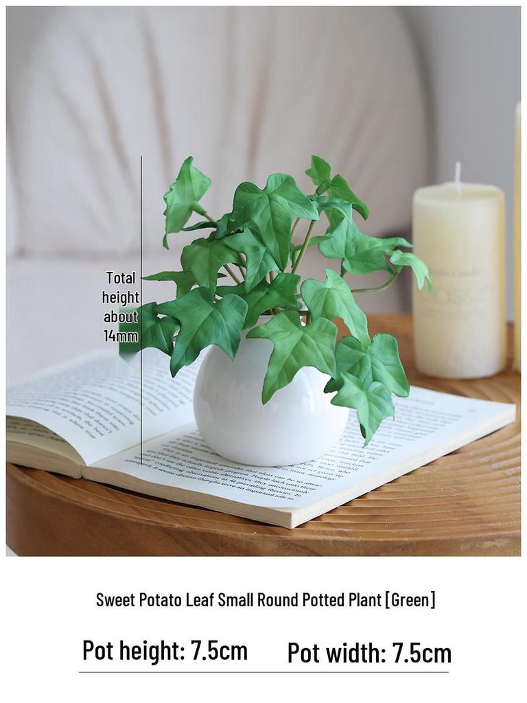 Miniature Succulent Bonsai Desk Ornament: Green Plant Props for Home or Office Decor