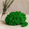 Reindeer Moss Moss Green 500g