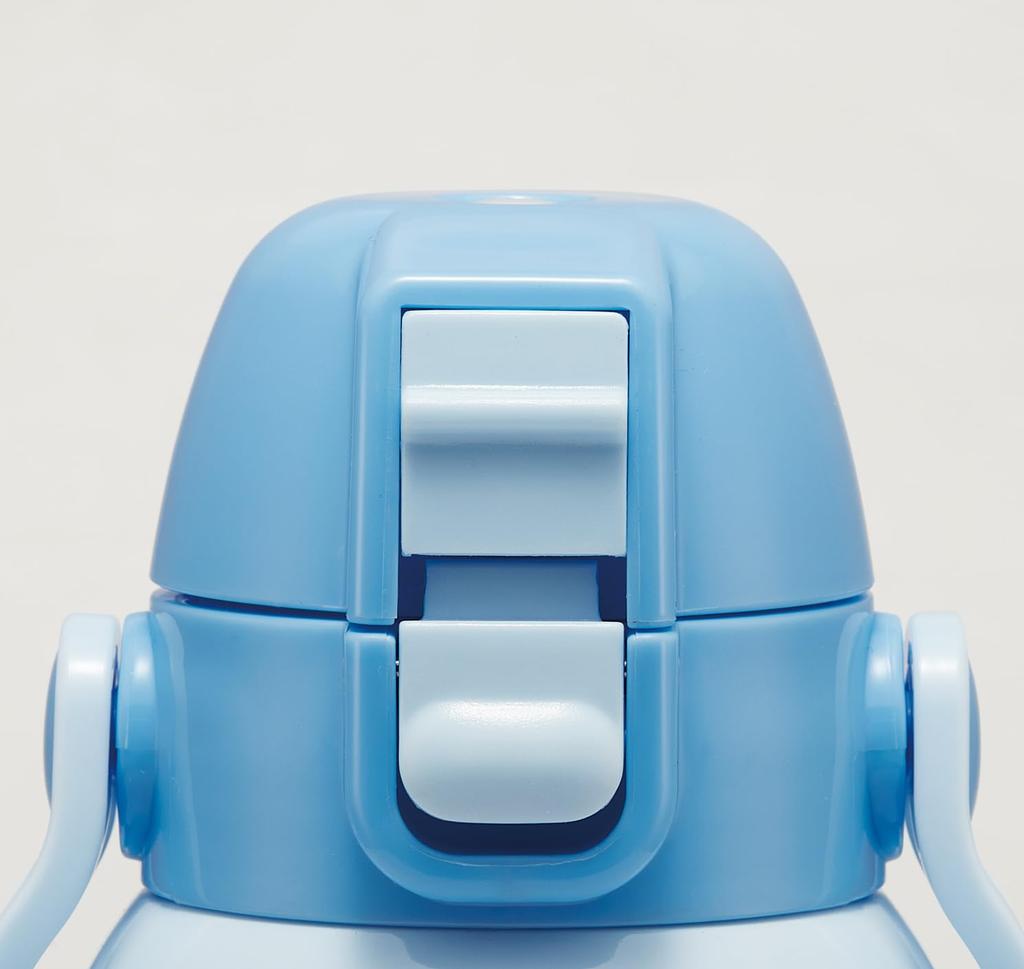 Skater Water Direct Sanrio Fancy Snacks Stainless Sports Water Children's Bottle, 600ml, Drinking, Cinnamoroll, & Weets, Girls', Insulated, Steel,