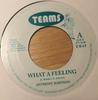 7inch Record ANTHONY JOHNSON  What A Feeling EB45 Teams UK Reggae Ska  Dub Used