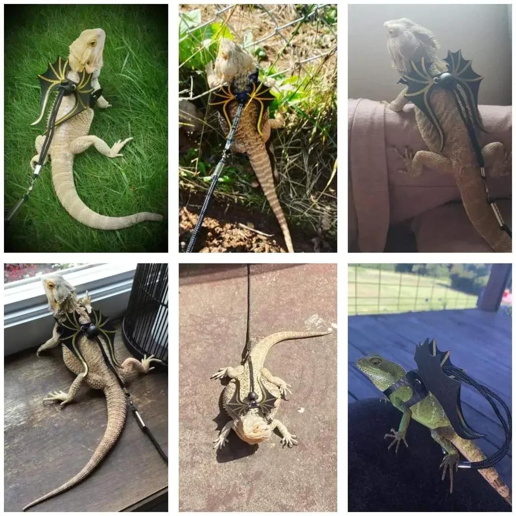 Bartagame-Leine für Eidechsen – 3er-Pack, Dinosaurier-Flügel-Echsengeschirr, Leine für Bartagame-Eidechsen-Reptilien