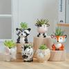 A Cute Animal-Themed Ceramic Planter for Succulents, Perfect for Decorating Your Balcony Table. Gardening Gift Home Decor