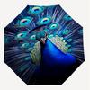 1pc peacock feathers Automatic Open/Close Umbrella with Windproof, 8-Rib Sturdy Canopy, Durable Ribs, Fashionable Design1248A