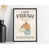 1pc Pumpkin Spice poster, Autumn poster, autumn decoration, Pumpkin, Autumn, Farm Fresh Pumpkins, autumn decoration poster,