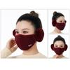 Cycling Windproof Cold-proof Earmuffs Mouth Cover Ear Warmer Outdoor Mask