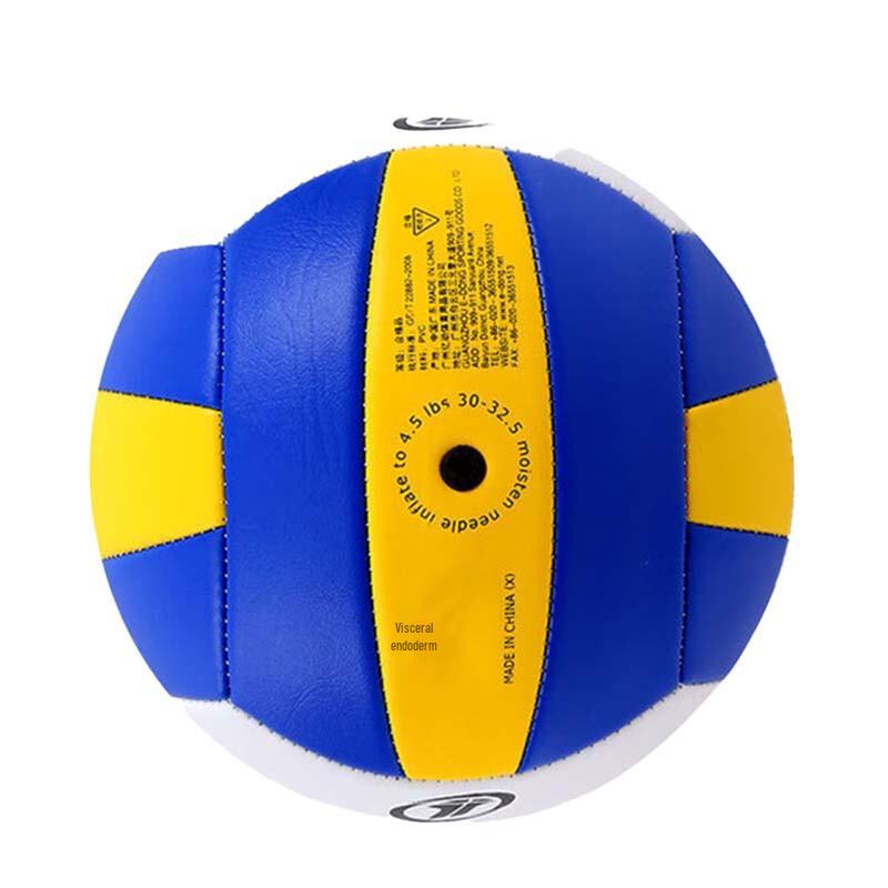 Motion Partner Size 5 Stitched Beach Volleyball