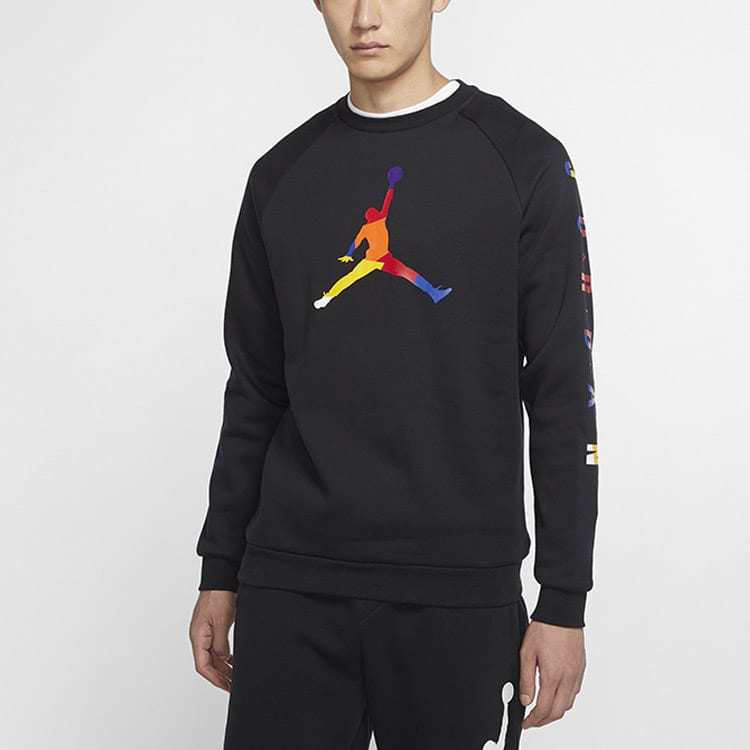 Jordan Sweatshirts Men's Crew Neck Moderate Regular CQ7593-010