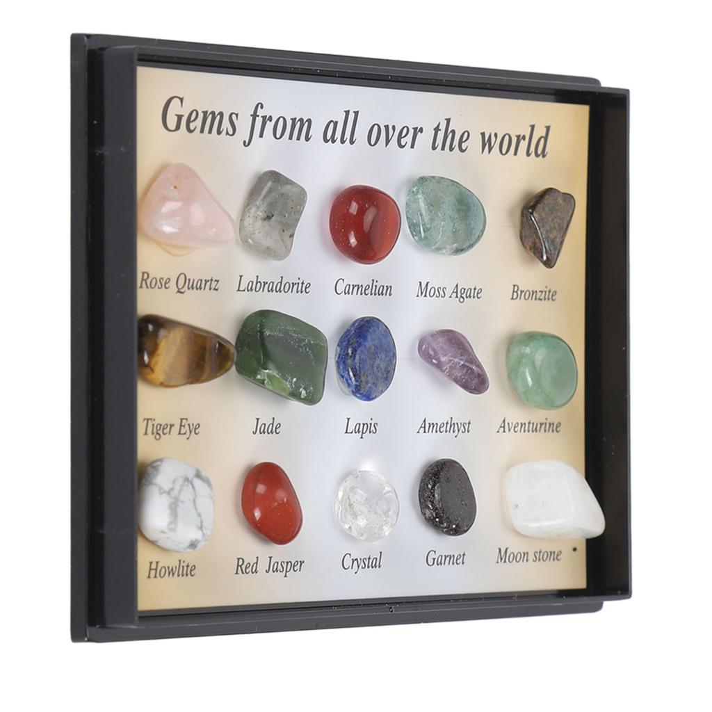 Rock Stone Colletction Kit for Kids Exquisite Science Classroom Rocks and Minerals Collection Minerals Educational