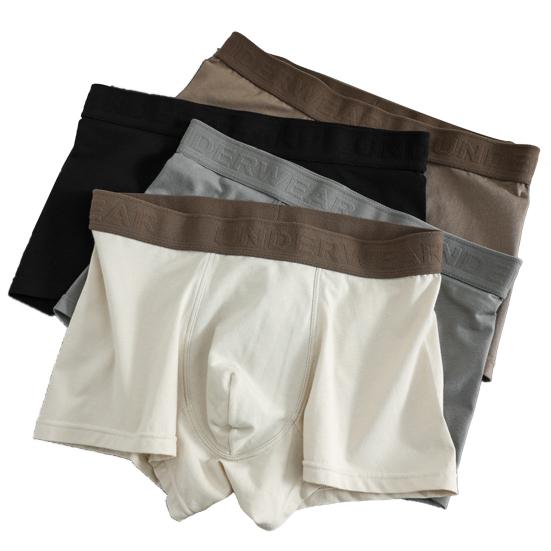 4Pcs Men Boxer Underwear Elastic Mid-Waist Design Breathable Fabric Shorts Briefs Letter Print U-Convex Panties Daily Wear