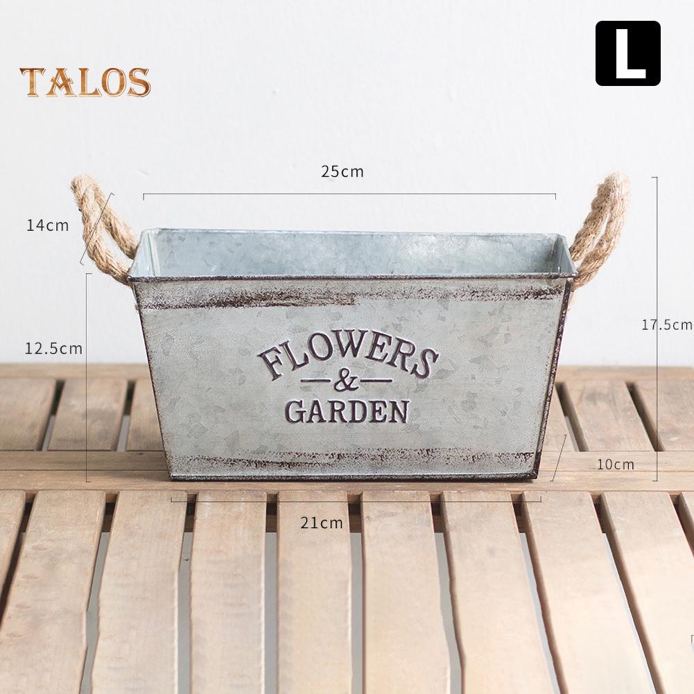 Trädgårdsblommor Trädgårdssnöre Handtag Järnkruka Suckulentväxtbehållare Balkonginredning