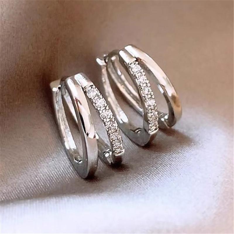 

925 Sterling Silver Zircon Double Round Hoop Earrings for Fashion Women Light Luxury Fine Jewelry Trendy Accessories