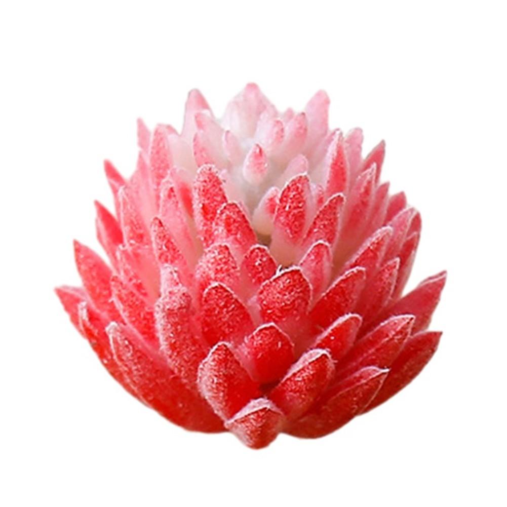 Artificial Succulent Artificial Decor Mini Realistic