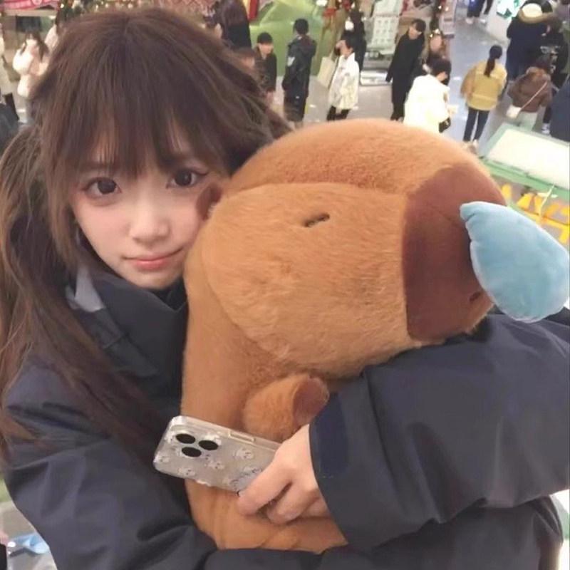 Capybara Sleepy Plush Hug Pillow - Birthday Gift for Girlfriend
