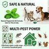 12-Pack Peppermint Oil Mouse Repellent, Fast-Acting Formula Deters Rats, Mice, Ants & More, Eco-Friendly & Long-Lasting