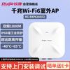 Ruijie RG-RAP6260(G) Gigabit WiFi 6 Outdoor Wireless AP