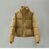 Autumn and Winter Down Cotton Clothes Women's Short Stand-up Collar Small Bread Clothes Jacket