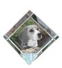 Beagle – Crystal Cube with a Photo, Photo of a Horse In Crystal |