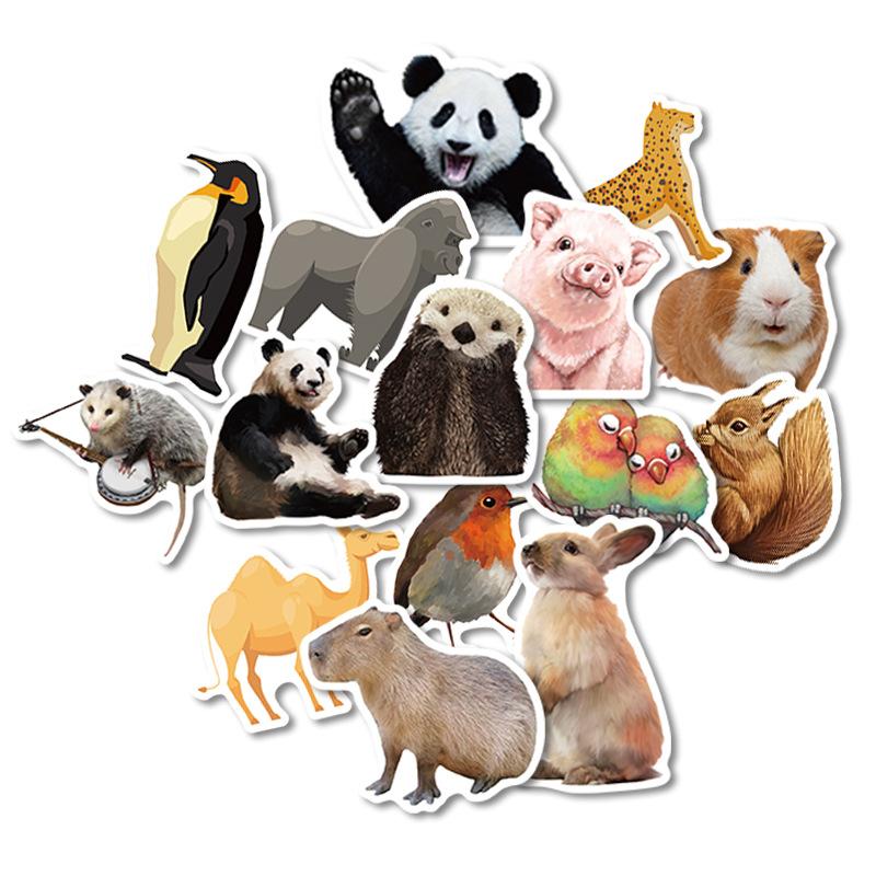 Creative Sticker Pack 50 Zoo Stickers Computer Water Cup Mobile Phone Waterproof Graffiti Realistic Little Animals