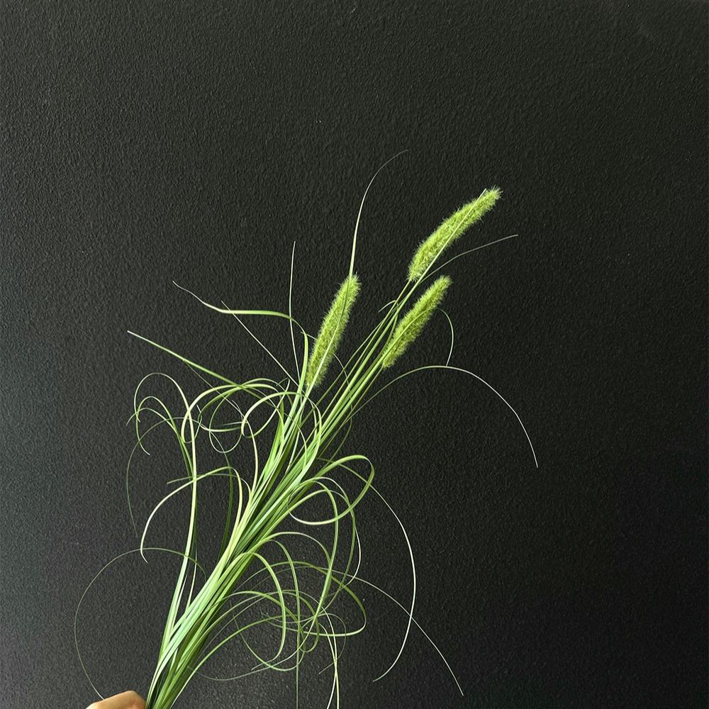 

2/5pcs Simulation Dog Tail Grass Home Soft Decoration Living Room Flower Arrangement Outdoor Photography Props Fake Flowers 2pcs