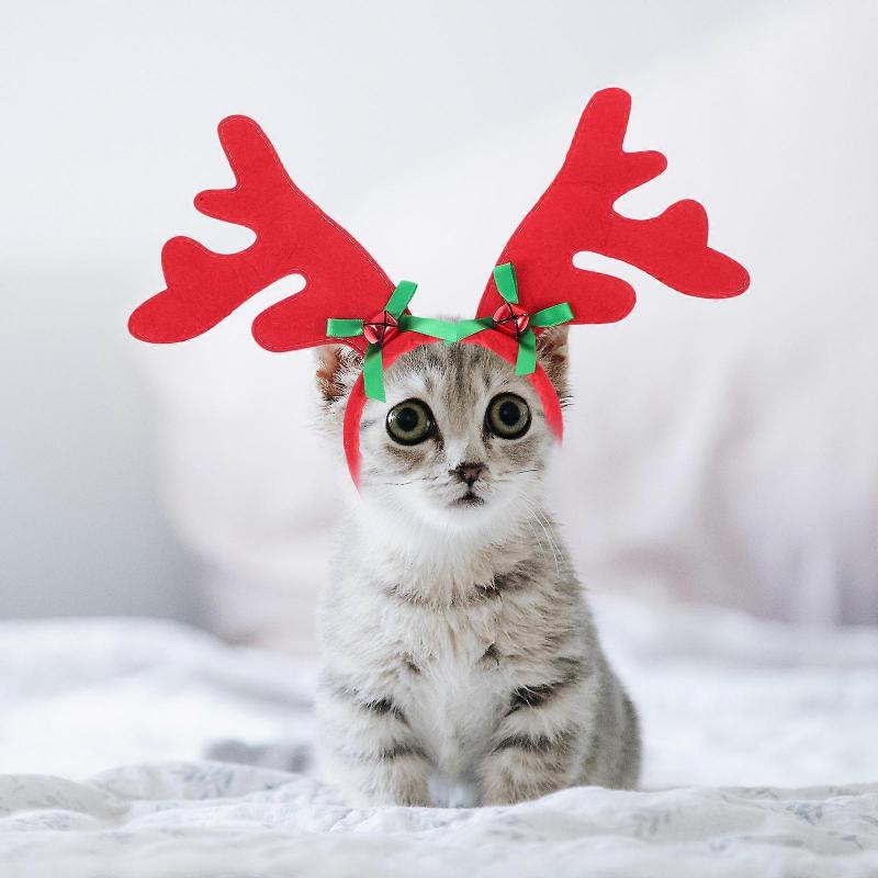 Pet Christmas Headband Adjustable Deer Horn for 4Pcs Holiday Decor