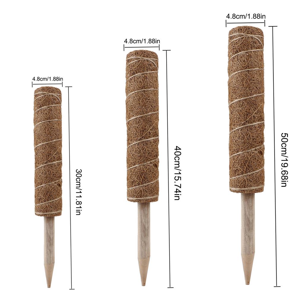 3PCS Plant Climbing Vine Coconut Palm Stick