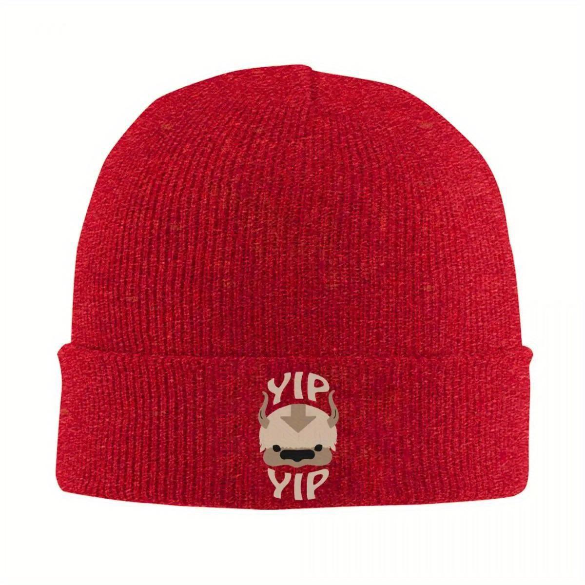 Yip Appa Avatar The Last Airbender Knitted Hat Beanie Winter Hats Warm Street Cartoon Funny Animal Vintage Caps for Unisex Women