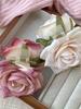 1 Women's New Retro Simulation Rose Flower Back Head Claw Hair Hair Accessories Photo Internet Celebrity Travel Accessories