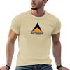 Alterra Logo (Transparent Background) T-Shirt vintage clothes summer tops sweat shirts tshirts for