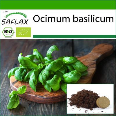 Biologico - Basilico Genovese - 800 semi - Con substrato da vaso per una migliore coltivazione - Ocimum basilicum