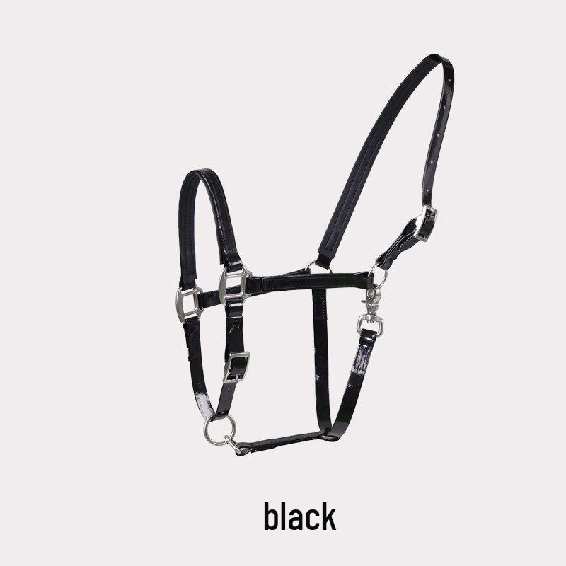 TPU Adjustable Durable Horse Halter and Leading Equipment
