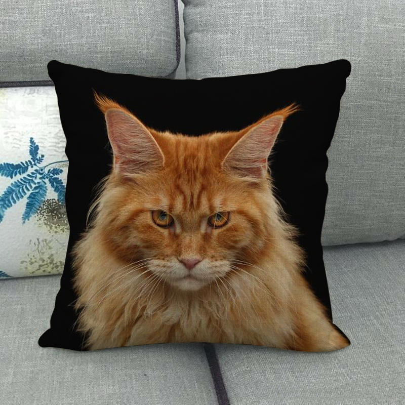 Uroczy zwierzęcy nadruk z kotem seria Sofa kreatywna poduszka prosta poduszka domowa impreza samochód
