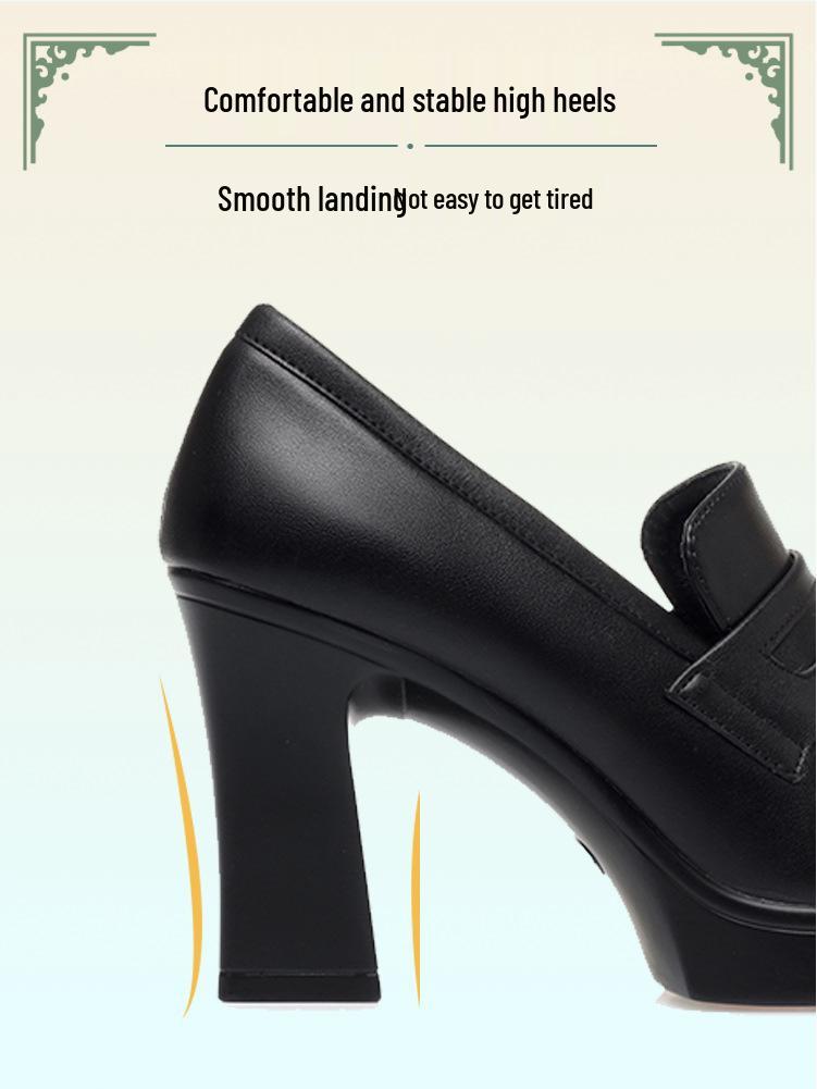 2024 Spring Women's Chunky Heel Platform Pointed Toe Leather Shoes