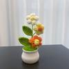 Handwoven Crochet Flower Potted DIY Woolen Thread Finished Product  Home Decor