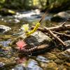#8 Foam Hex Dry Fly Extended Body Mayfly, UV Parachute Foam Dry Fly, Elk Hair Tail Floating Fly Lure for Trout Bass Grayling Panfish