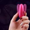 Vibrator Egg Lightweight Wired ABS Vibrating G-spot Massager for Vaginal