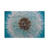 Romantic Dandelion Background Tapestry for Events,Party Banner,Home Decor,Weddings,Photo Booths