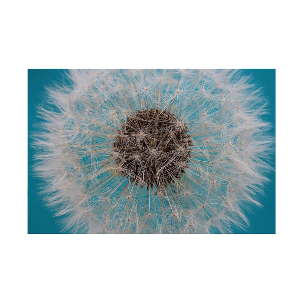 Romantic Dandelion Background Tapestry for Events,Party Banner,Home Decor,Weddings,Photo Booths