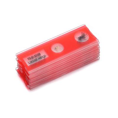 Animals Insects Plants Flowers Microscope Slides  Students Children