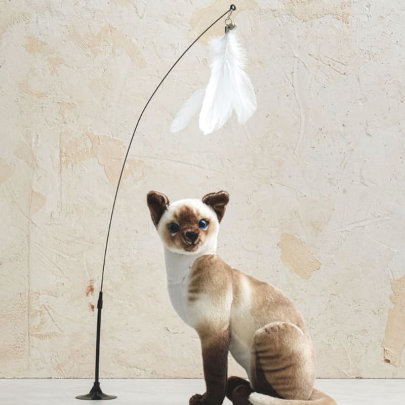 [Haustier] Feder-Saugnapf-Spielzeug