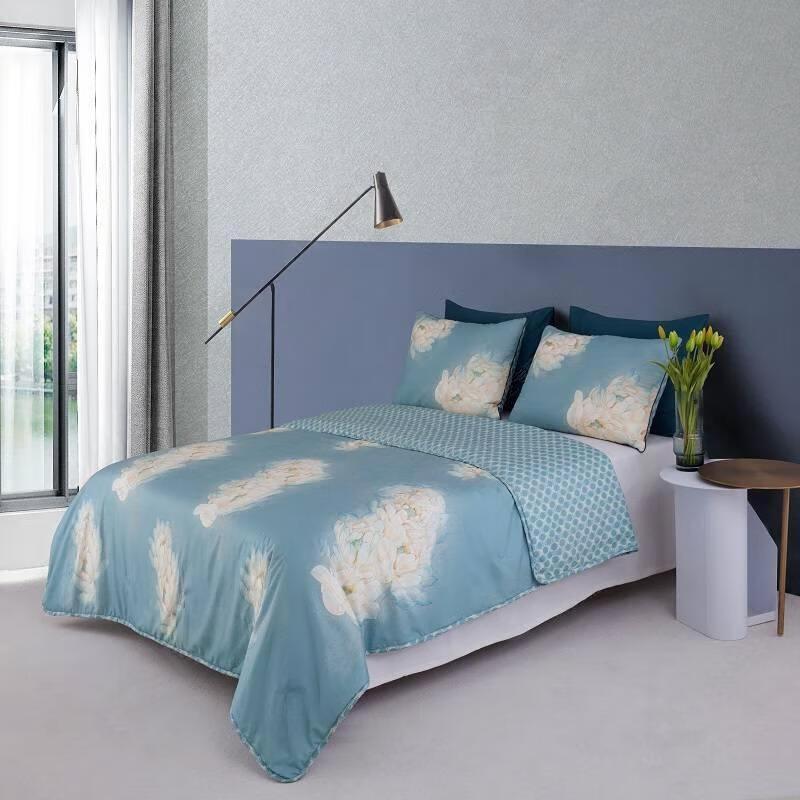 Mengjie Soft Printed All-Season Quilt Set with Pillow Inserts