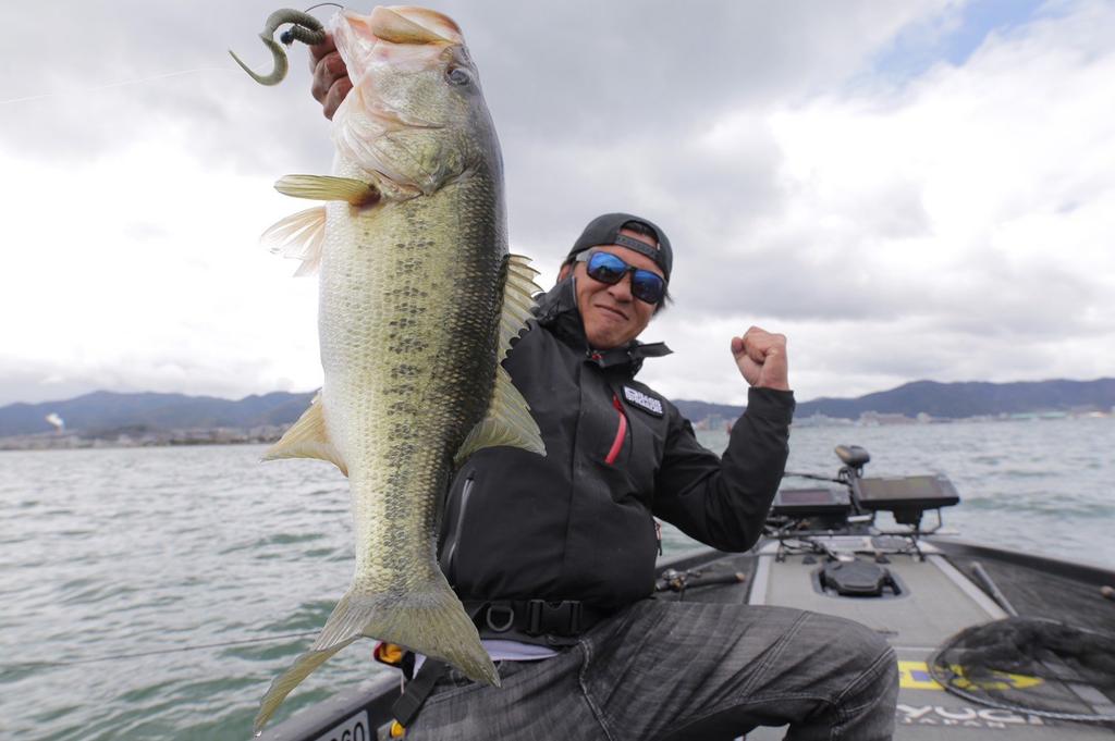 Berkley Maxcent King Tail Watermelon Red for Black Sea and Black Porgy 8-inch (PBMSKT8-WMR) Bass, Rockfish, Bass,