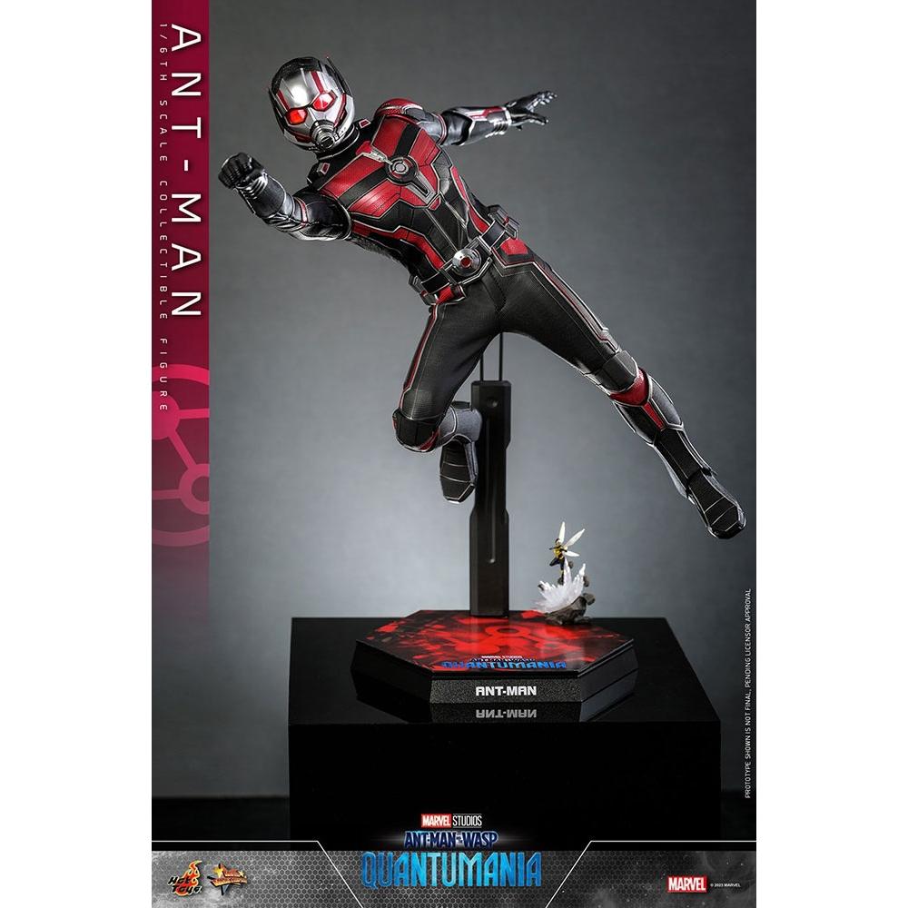 

Marvel 1 6 Movie Masterpiece Fully Poseable Figure Ant Man And The Wasp quAntuMania Ant Man