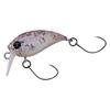 Daiwa Presso Wabukura Jr. 25F SR Sakuramist Redglow 25mm
