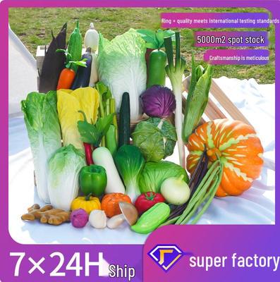 Simulation Vegetable Models: Fake Cabbage, Radish, Eggplant for Early Education, Studio Shooting, and Window Display Props