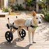 Breathable Dog Wheelchair Comfort Harness Disabled Pet Walking Aid  Disabled Pets
